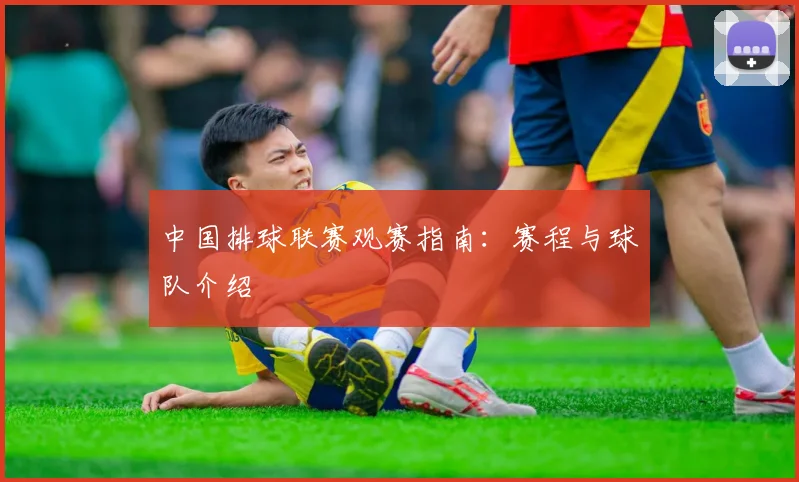 中国排球联赛观赛指南:赛程与球队介绍
